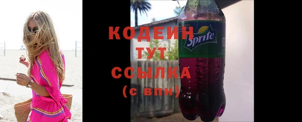 дживик Няндома