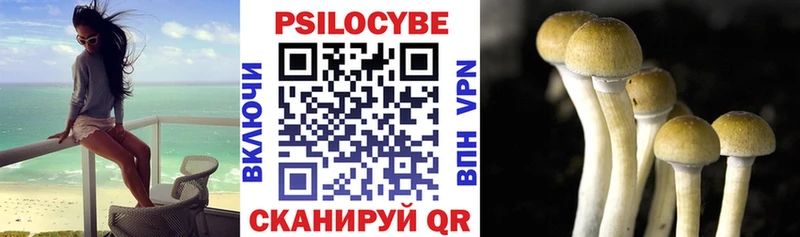 Псилоцибиновые грибы мухоморы  Андреаполь 